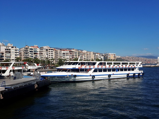 İzmir Menemen Kombi Servisi